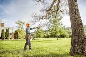 How Our Tree Care Process Works  in Moody, AL